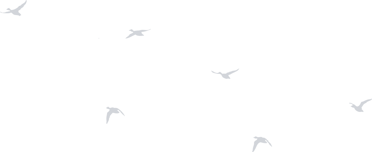 home03-bird - iBASE ENERGY | Energy solutions provider - iBASE ENERGY | Energy solutions provider