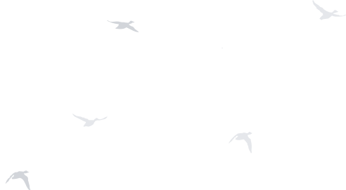 container03-bird - iBASE ENERGY | Energy solutions provider - iBASE ENERGY | Energy solutions provider