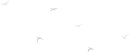 story-bird - iBASE ENERGY | Energy solutions provider - iBASE ENERGY | Energy solutions provider